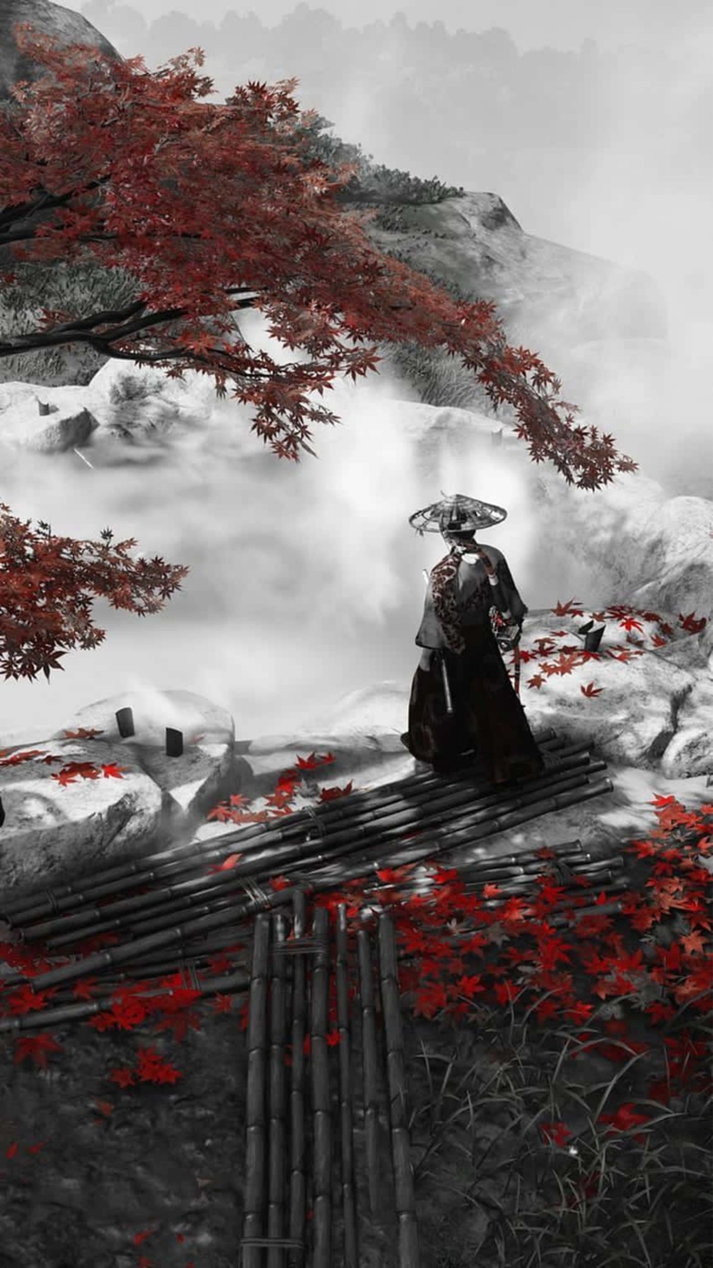 Hình nền samurai (43)