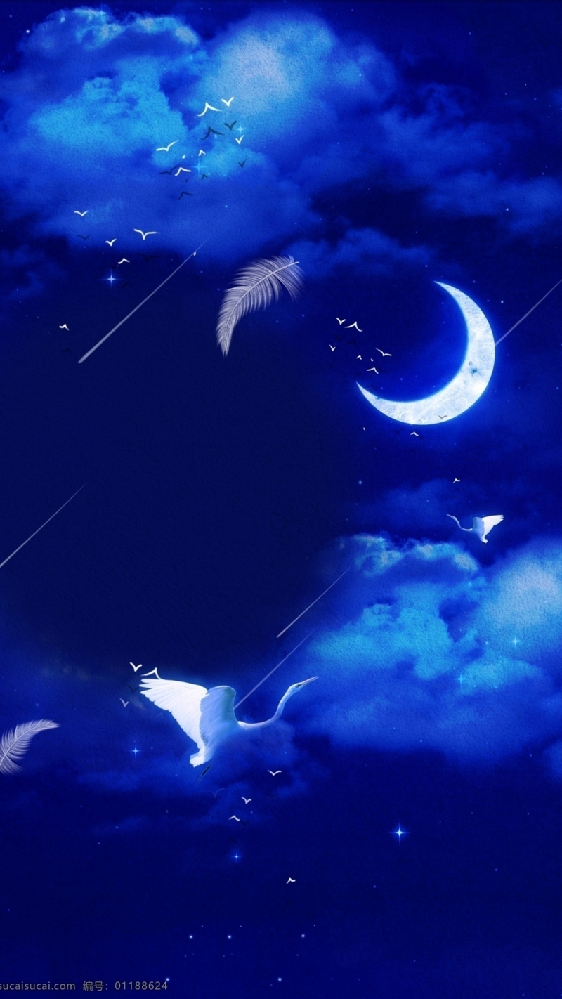 Hình nền sao băng (34)