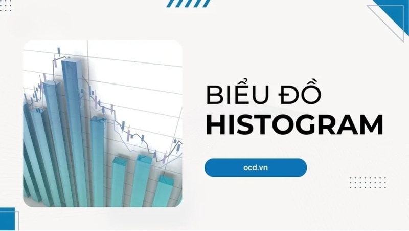histogram được hiểu là một biểu đồ thống kê sử dụng các thanh hình chữ nhật có độ cao khác nhau
