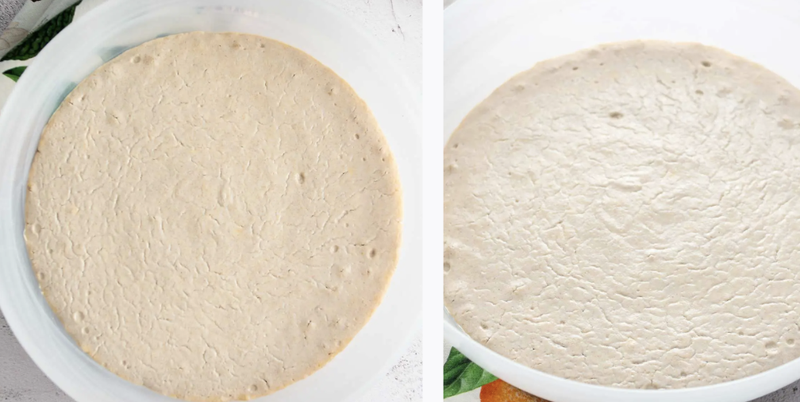 Hoa tam giác mạch Ảnh 11