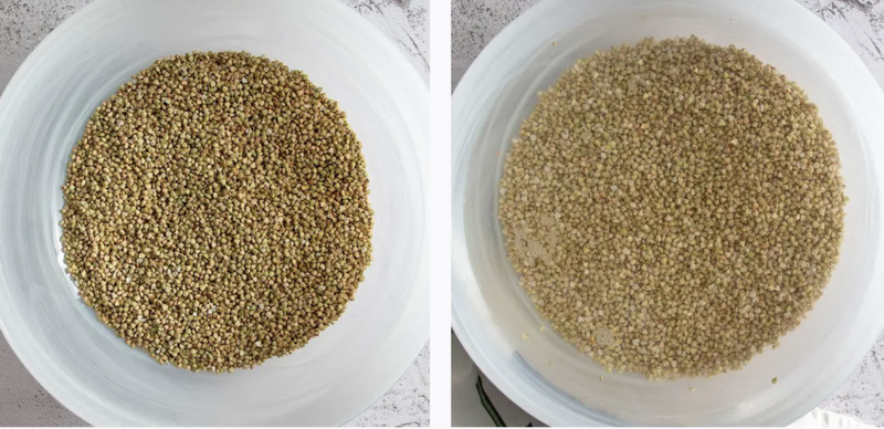 Hoa tam giác mạch Ảnh 9