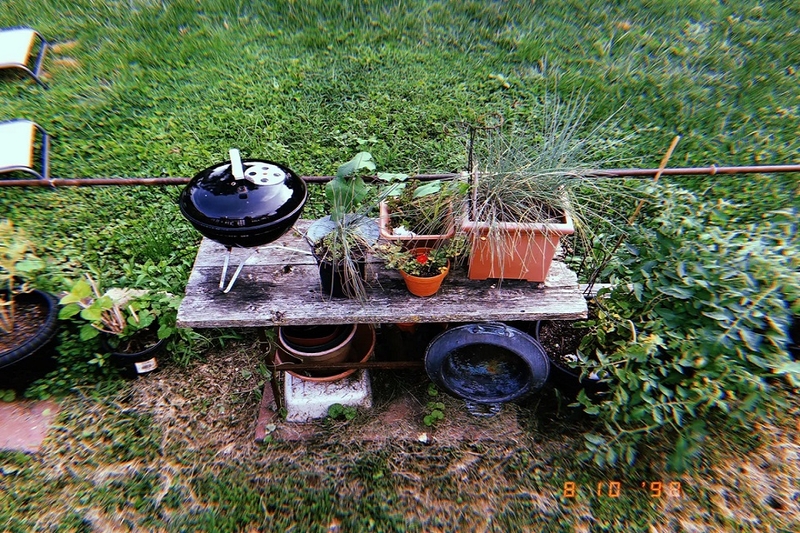 Hiệu ứng giả lập film chân thực