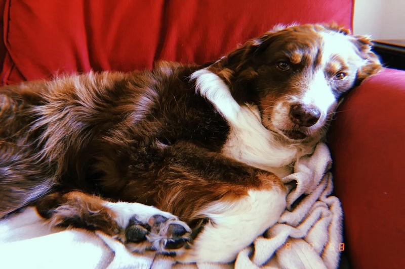 Tự động thiết lập thời gian chụp là năm 1998