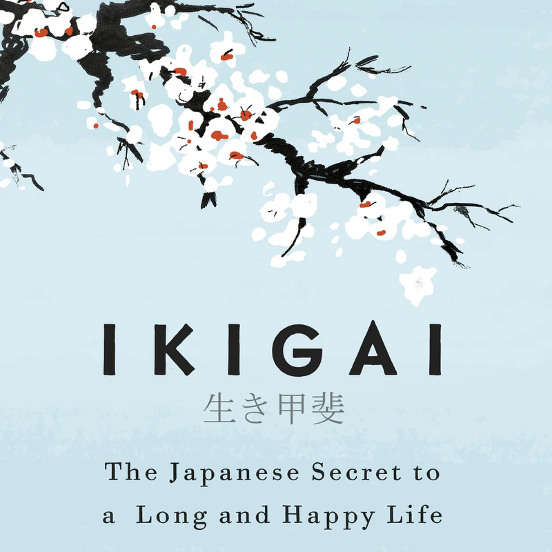 Ikigai là gì 1.png