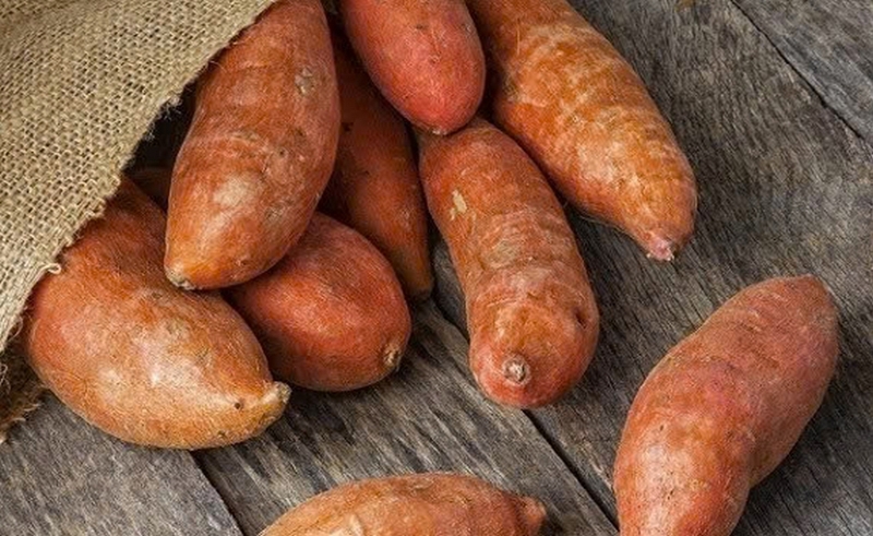 Khoai lang để tủ lạnh được không ảnh 1
