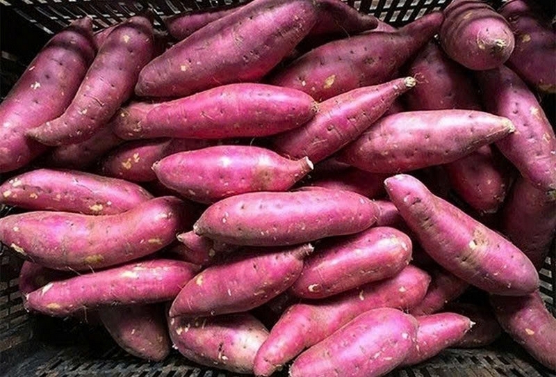 Khoai lang để tủ lạnh được không ảnh 2