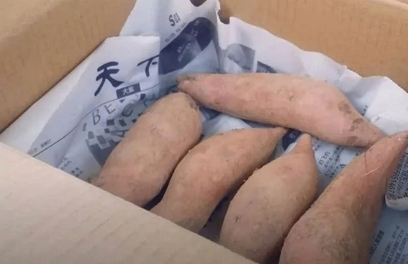 Khoai lang để tủ lạnh được không ảnh 4