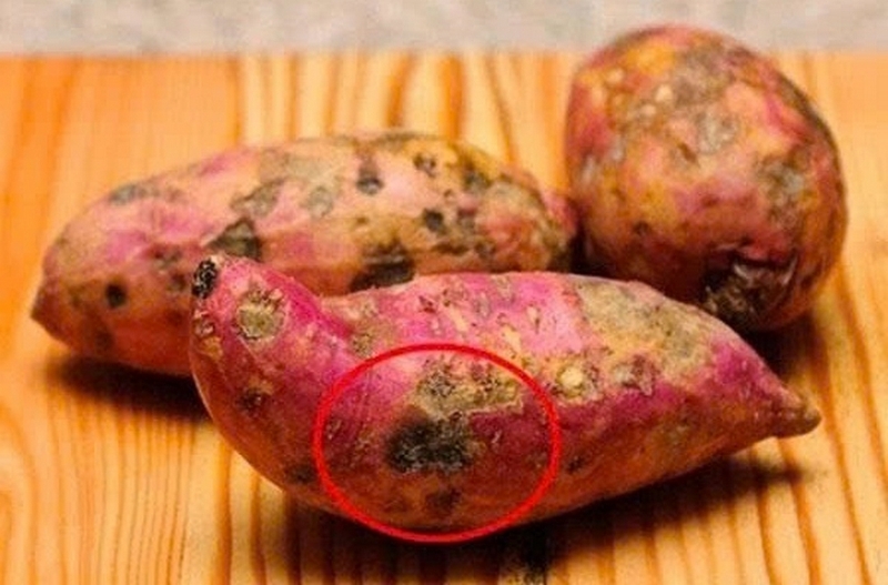 Khoai lang để tủ lạnh được không ảnh 5