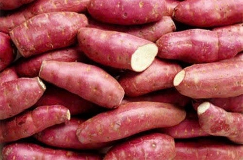 Khoai lang để tủ lạnh được không ảnh 7