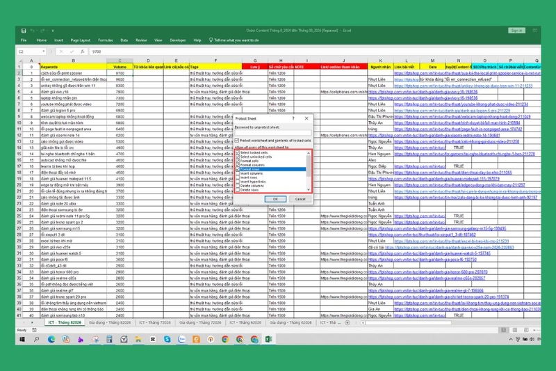 Kiểm tra Protect Sheet và Protect Workbook bước 3