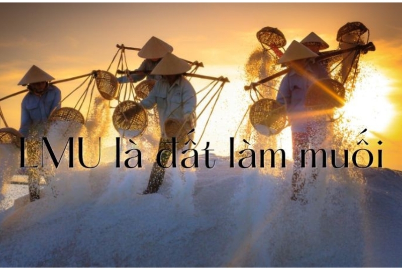 Đất sản xuất muối quy mô công nghiệp
