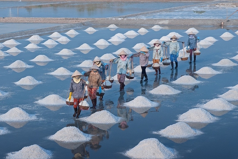 Trách nhiệm của người được nhà nước giao đất, cho thuê đất làm muối