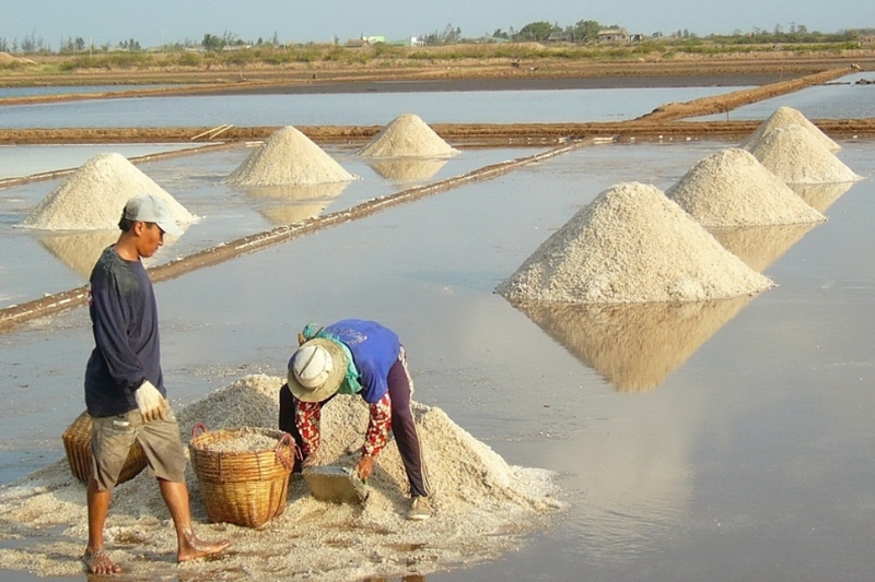Các trường hợp không được cấp sổ đỏ