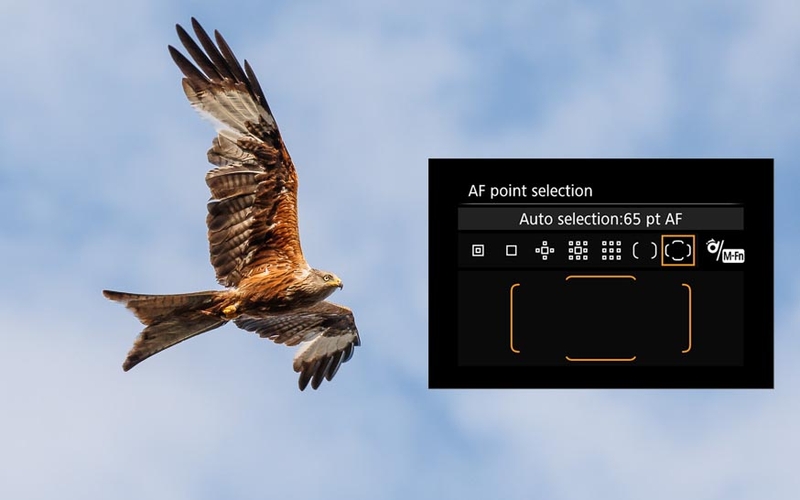 Lấy nét tự động AF 6.jpg