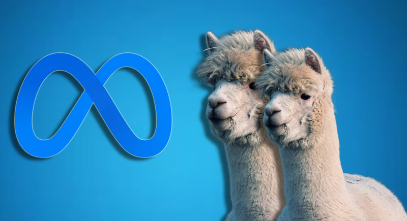 Llama là gì?