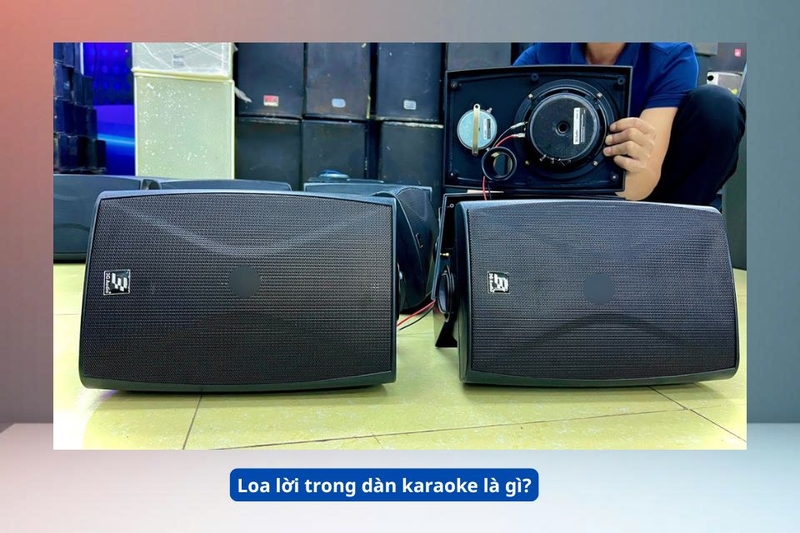 Loa lời trong dàn karaoke là gì