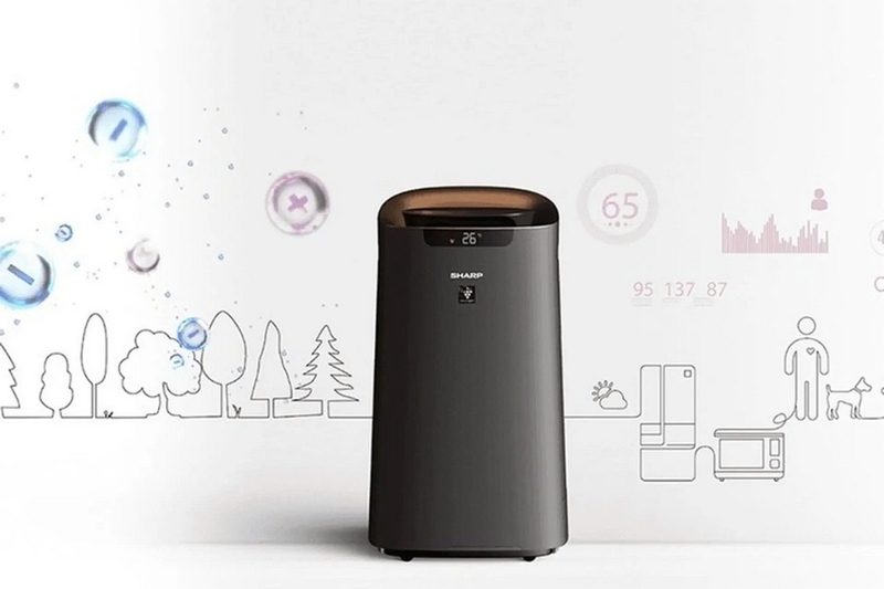 Lỗi C4 máy lọc không khí Sharp ảnh 1