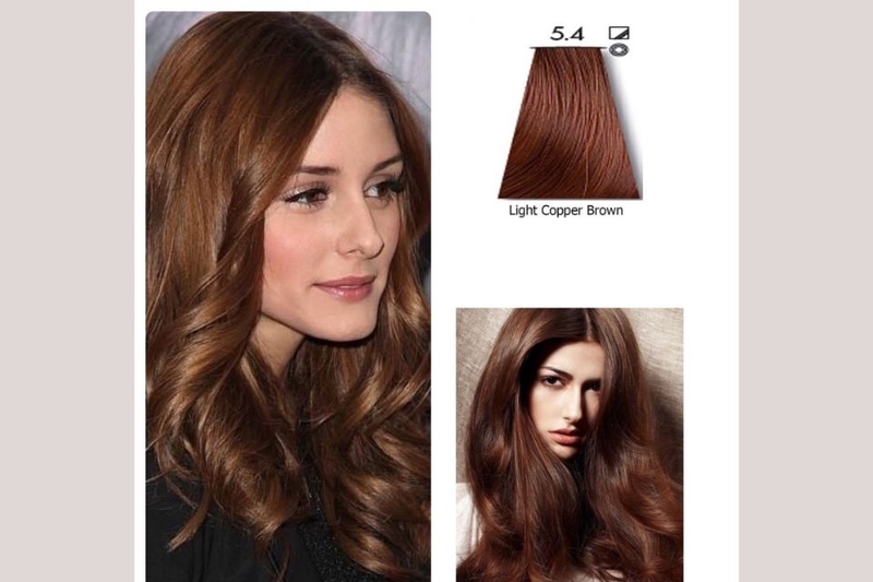 Nâu vàng ánh đồng (Copper Brown)