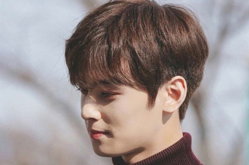 Màu nâu hạt dẻ