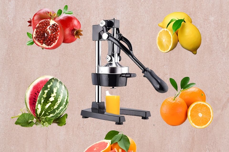 M&aacute;y &eacute;p tr&aacute;i c&acirc;y Switol Pro Press Extractor