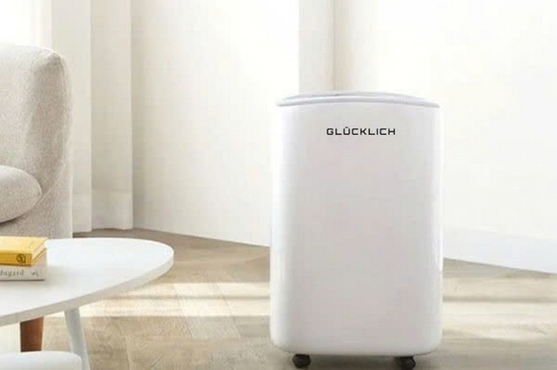 Máy hút ẩm Glucklich ảnh 4