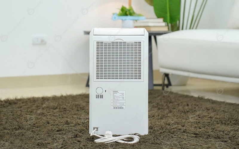 Máy hút ẩm Rasonic ảnh 1