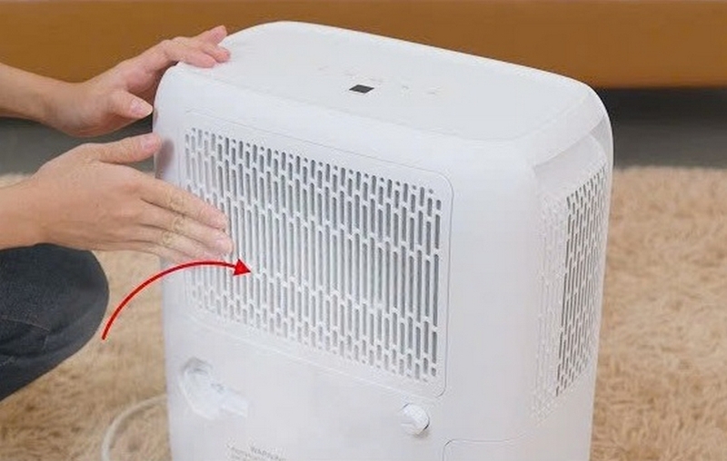 Máy hút ẩm Rasonic ảnh 3