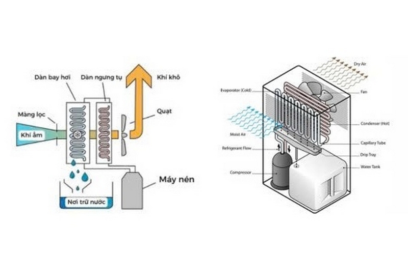 Máy hút ẩm Rowenta ảnh 2