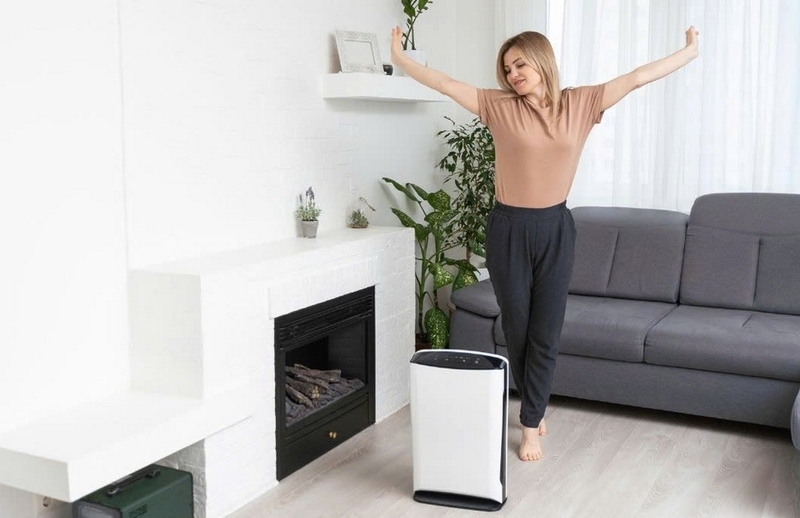 Máy hút ẩm Rowenta ảnh 5