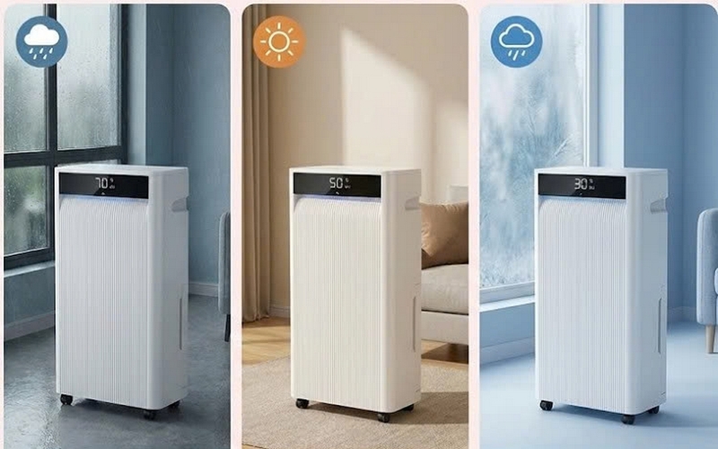 Máy hút ẩm Rowenta ảnh 6