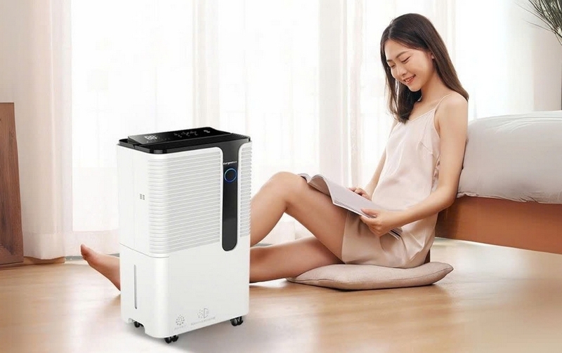 Máy hút ẩm phòng 20m2 ảnh 1