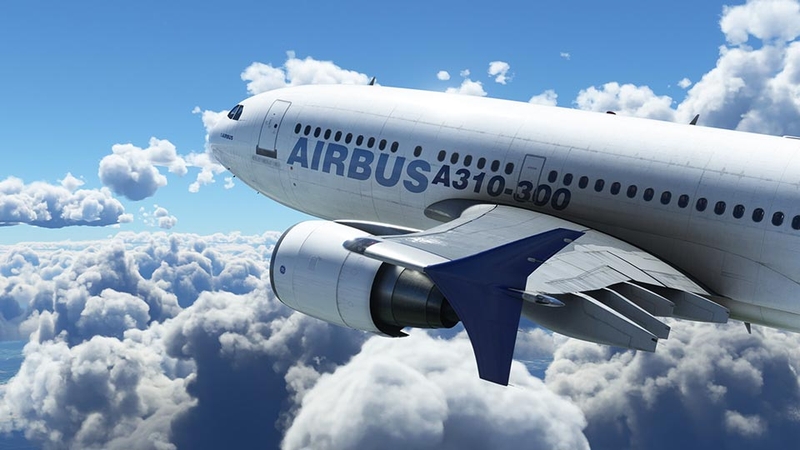 Microsoft Flight Simulator - Ảnh 09