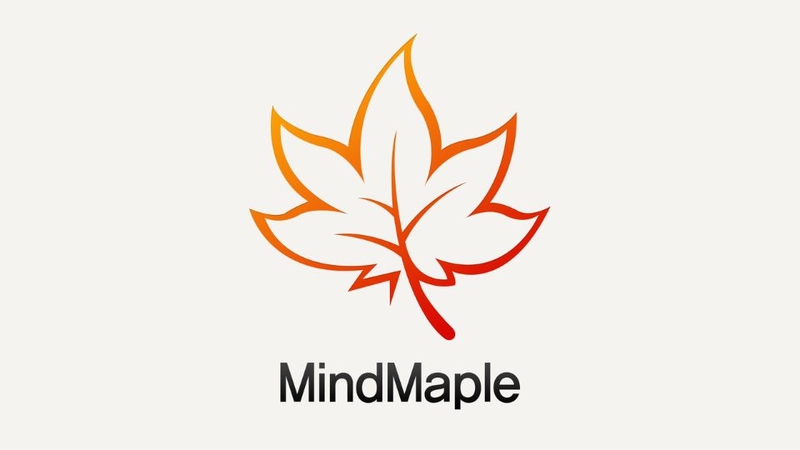 Tổng quan về MindMaple