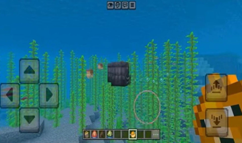 Minecraft 1.21.133 - 03