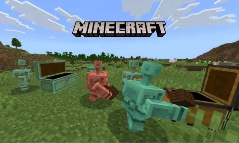 Minecraft 1.21.133 - 02