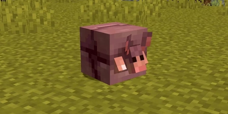 Minecraft 1.20 tiếng Việt hình 3