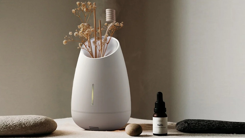 Xuất xứ và lịch sử hình thành