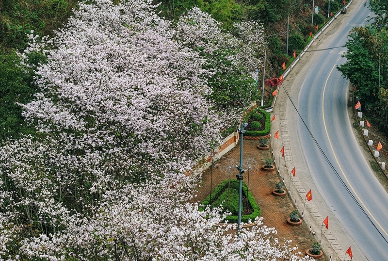 Mộc Châu mùa nào đẹp ảnh 2