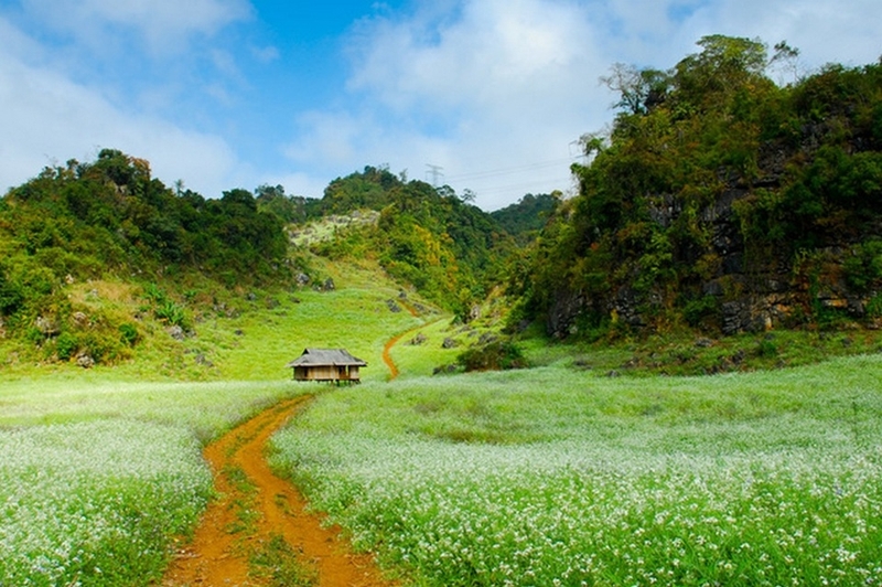 Mộc Châu mùa nào đẹp ảnh 4