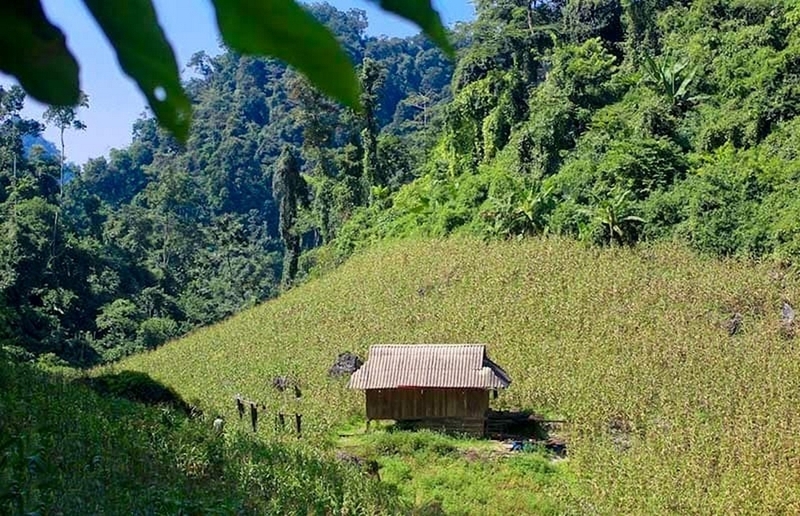 Mộc Châu mùa nào đẹp ảnh 7