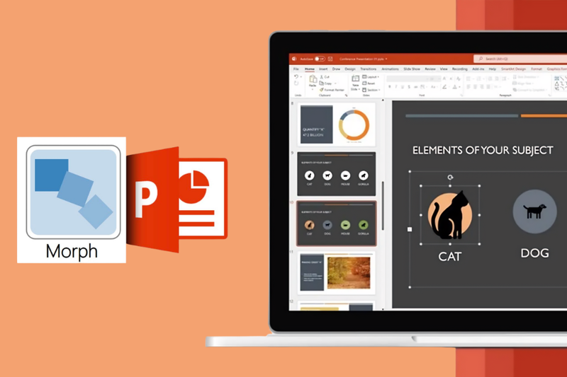 Morph có cần tải riêng để cài vào PowerPoint không