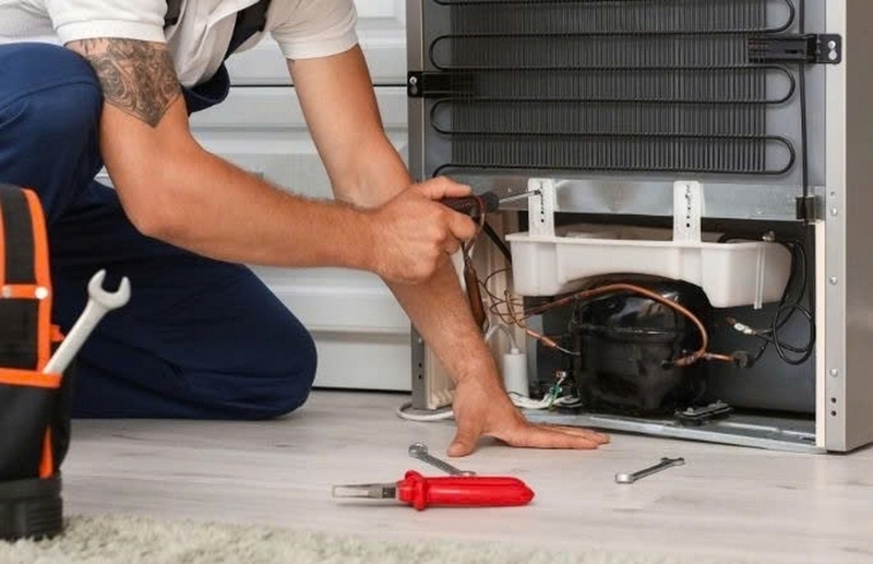 Mua khay nước sau tủ lạnh ảnh 6