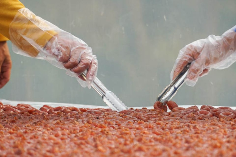 Thỉnh thoảng lật mận (mỗi 3 - 4 tiếng) để mứt khô đều