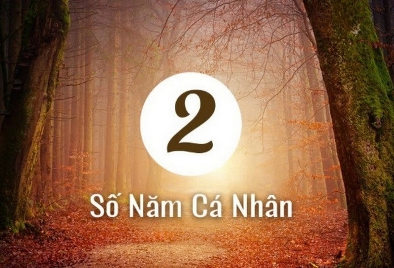 Năm cá nhân số 2 năm 2026 ảnh 1