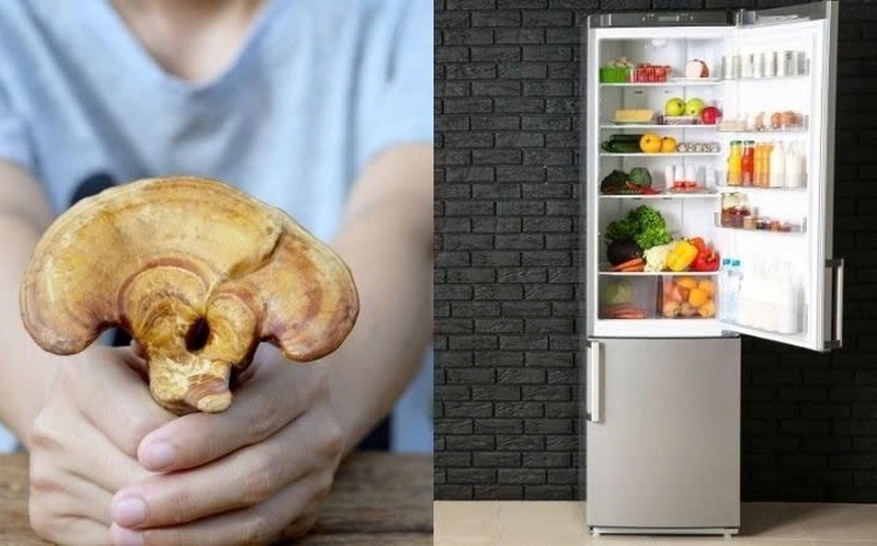 Nấm để tủ lạnh được bao lâu ảnh 2