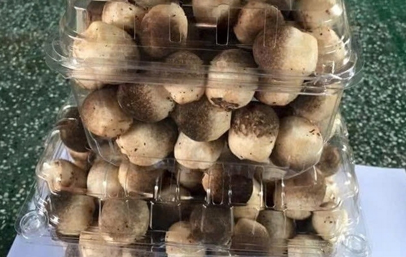 Nấm để tủ lạnh được bao lâu ảnh 3