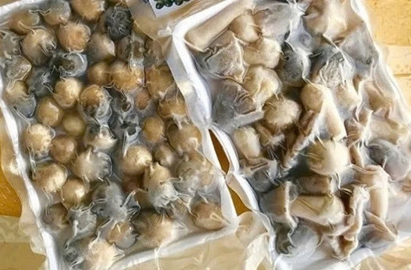 Nấm để tủ lạnh được bao lâu ảnh 6