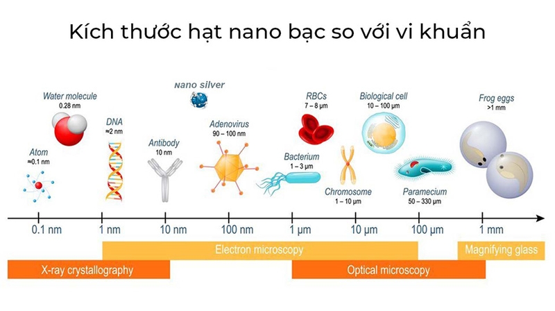nano bạc còn thể hiện hiệu quả vượt trội trong việc chống lại virus và nấm