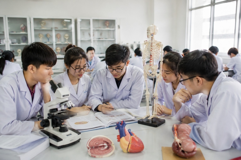 Học Y khoa 6 năm gồm những giai đoạn nào