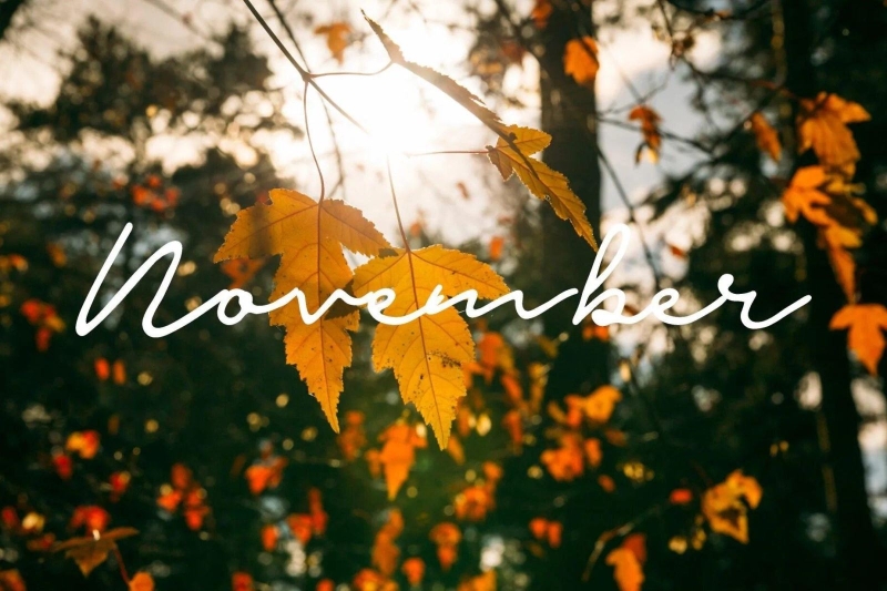 Ngày đẹp tháng 11 2026 1.jpg